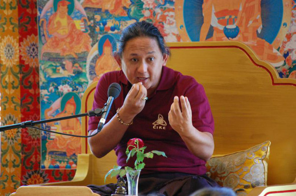 “No quiero; no lo necesito” (Dzigar Kongtrül)